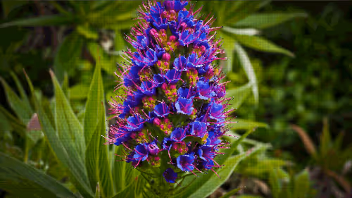 Item #75866091947728652238534111254584504918190435733442380629681527331759232909313 Media