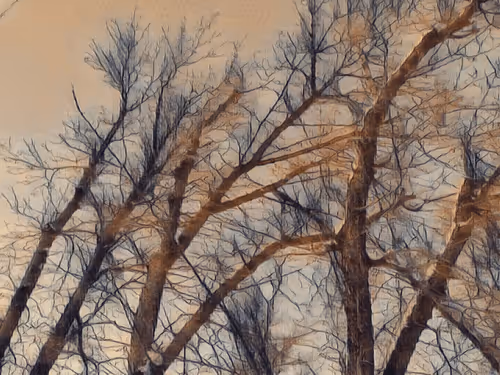 Item #47363753603702379708308966357623410528548816847410412850833506875181325353060 Media