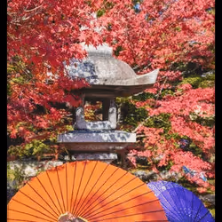 108065665434435766760522700651324844344204555372000129092130959979306652008458