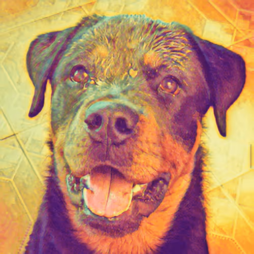 Item #7678098862480869732198640215548033609718490980890964392803254903814586630194 Media