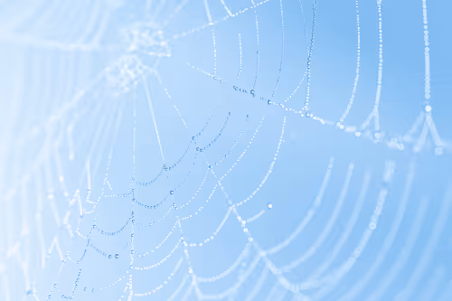 Item #66094276214444453671776158807795384141556220824511582768946086629277532422145 Media