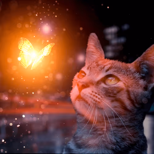 Item #55880485787102570483945479333752189968243542116145001215809778088266952605697 Media