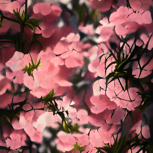 56173434552807029317013242448090072095853637962151496955952321757203277021185