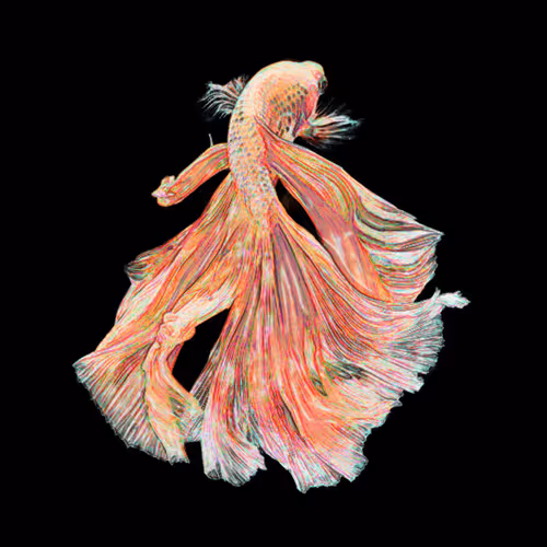 Item #73423654428024661336379470947819889295714855264791127270755008402797772144680 Media