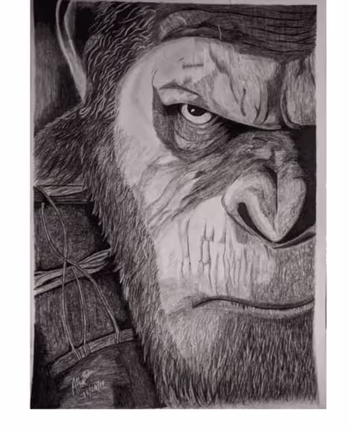 Item #48962084060186019940623196789396244510789399652711377126682244768215007756291 Media