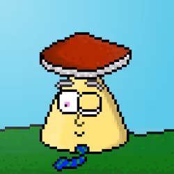 33741781216748986518517832568595493503429706584982134247768926055790746271745