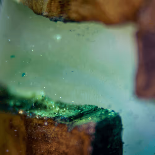 Item #8251270981130702250905355697814279819197198943221984468281114940391785758721 Media