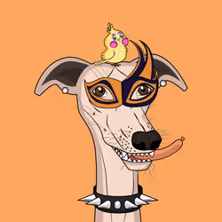 2680978344079381498691935145850352404803834322876667011231051454320388079617