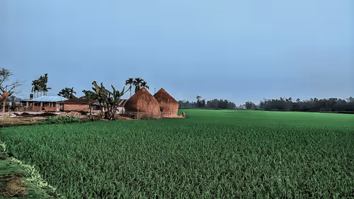 Item #79881050723478976597603312711140696422670200976584181801927160686611611516929 Media