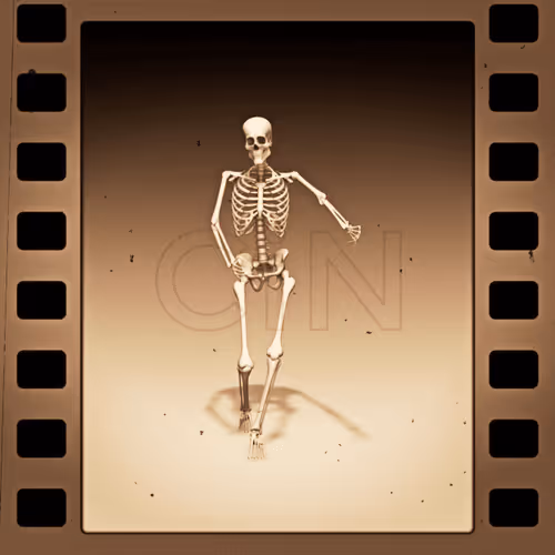 Item #84040626704981797494183652694906061247302666274671365647185006442619477164033 Media