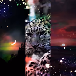 Prince Guepard #1