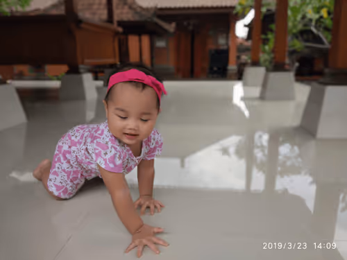 Item #51198950727353000400182026279026974017434036809871363174420400686549281275905 Media