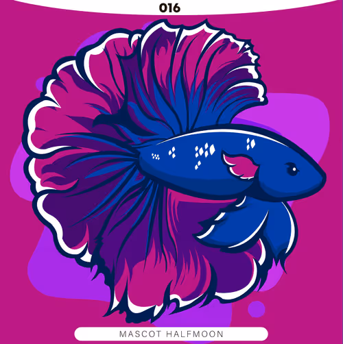 Item #71915282176282174012632358448723633474544225318645324977784202299895764221953 Media