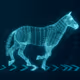 26596706902614622999604236362832565542592376384319612143185125133883734491137