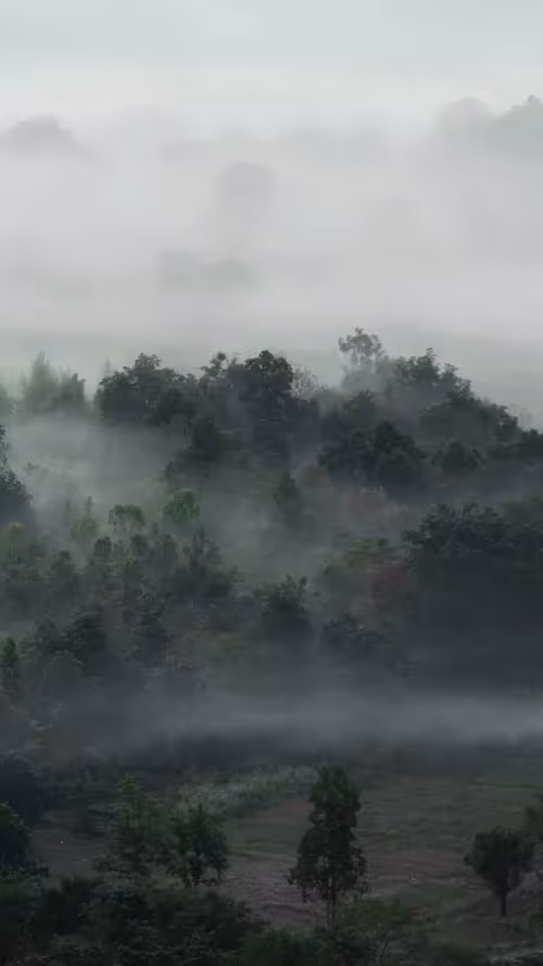 Item #44000314870051033760276932257085289641793891726048835253617472338948532469761 Media