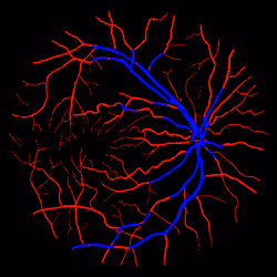 7078802064077755305879053961196844759257248211509687953083585977059297460225