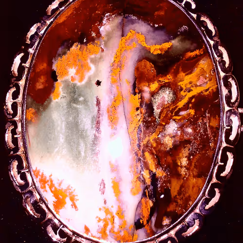 Untitled Collection #466554672