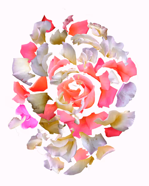 Item #38505810138693933868776507071798169226744493251616044922787292527525011390465 Media