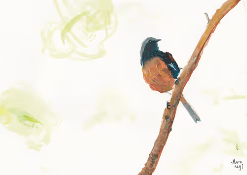 Item #50477655081330602958058317998858533630756418040020163035390472605298814091364 Media