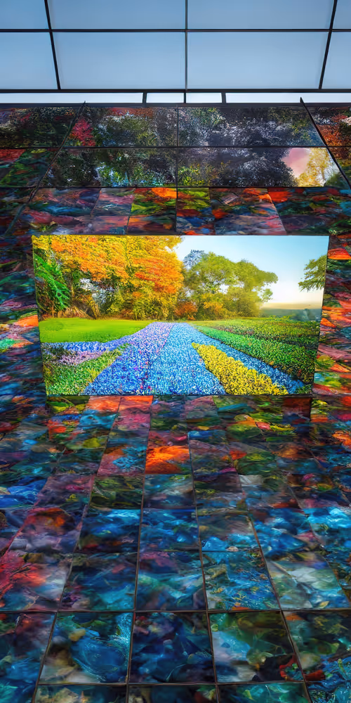 Item #53204195999668057401361450590388499232587888718751066529720239523697153540097 Media