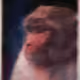 29766715601633112261074778936004247539077885588047069102564176254138557923329