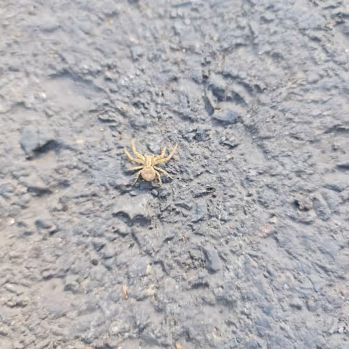 Untitled Collection #276512402