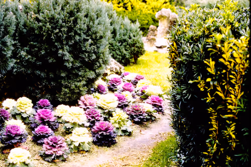 Item #113047771030127017240919341709485116586684509374101894410877815075570624495617 Media