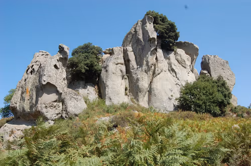 Item #56287055780979128950245095664156082691230445151418642547794192050810488094721 Media