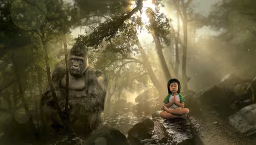 Item #38684800673390817564264495762399861164691569232606033942472772420281193988106 Media