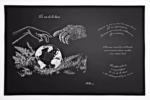 Item #48122630829020023147446267605654226974374927870031825893168782423508654227457 Media