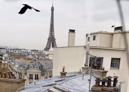 Item #96162193194051546325044257956994999535164265717747328181556126500511631278081 Media