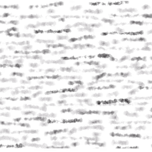 Untitled Collection #652984860