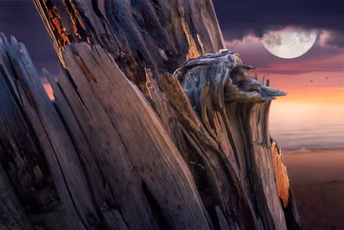 Item #79759977614981240173463193598040334510591662110008548721289304018128918806529 Media