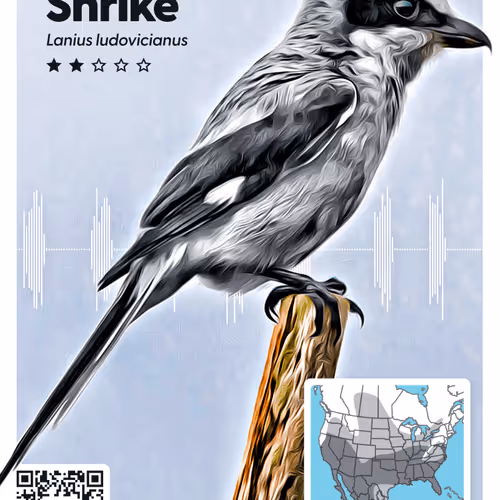 26102390610025884852824728088708208703251930988161684574571712847290161954841