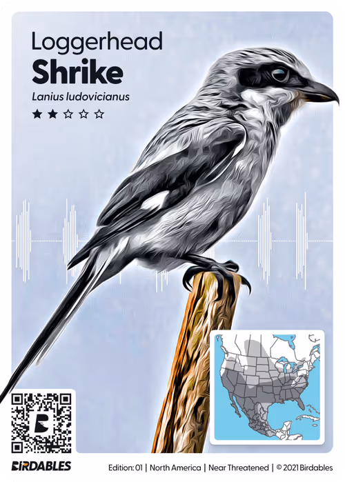 Item #26102390610025884852824728088708208703251930988161684574571712847290161954841 Media