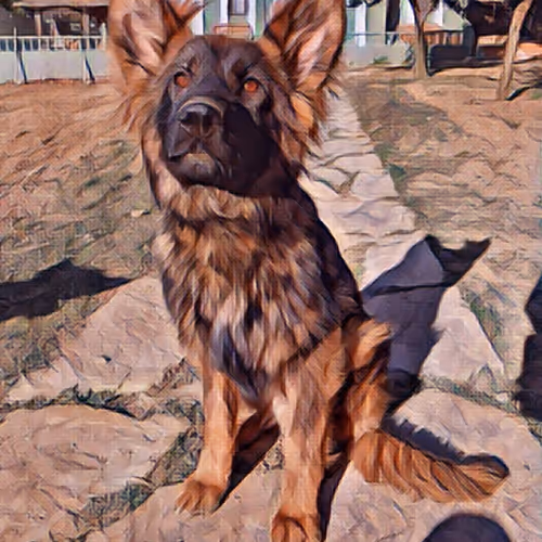 My name is Sacha