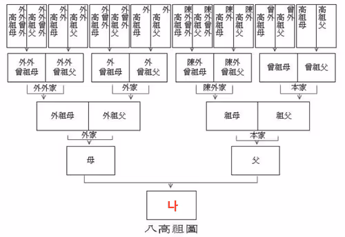 Untitled Collection #47044751