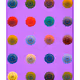 77177569766803033798953782132594457323858218676766981376609459662873360859137