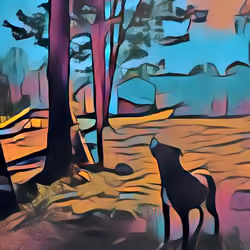 ontherun