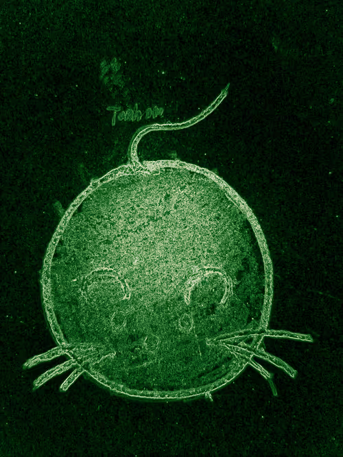 Item #80926432860847288351557924068159633664804178470775081465336394374974438676096 Media