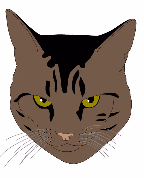 Item #109476089849893856701554107395822483407847062075969256486449400242688866910209 Media