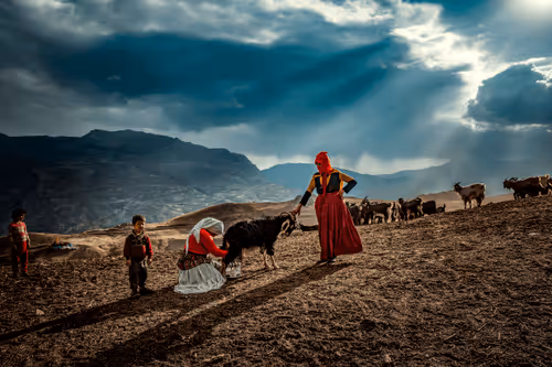 Marcador de posición de elemento multimedia