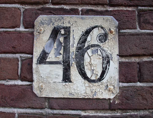 Untitled Collection #95743405