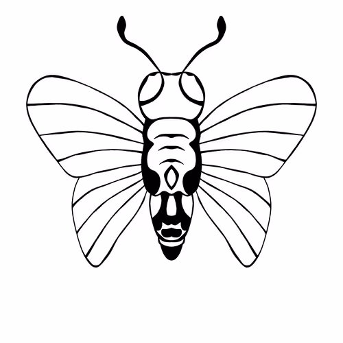 Item #9300110151343064589478089852028701977421355729169838991758735106283472420865 Media