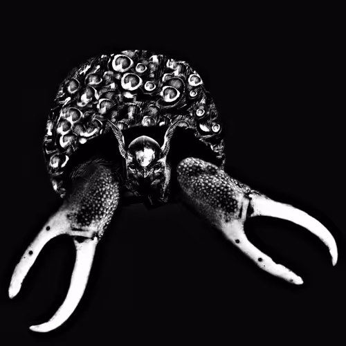 267812629961446461725272627810692913526772756799582271429818468590357053441