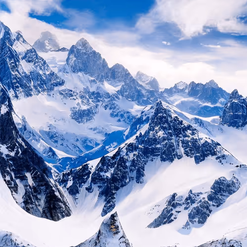 Item #110351372962123060231895666498212327182283223475443683574444124993941074345985 Media