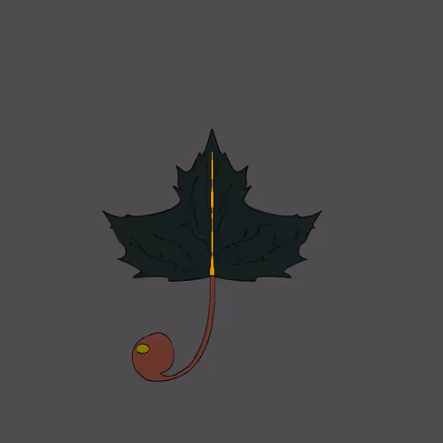 Item #67442861663334708568431626599499864796798009138674433109352702349273502580737 Media