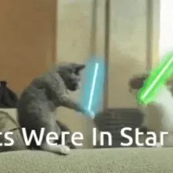 If Cats were in Star Wars