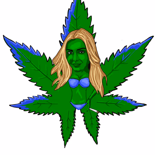 3629226787036885345407013839473637357726433756934680638690710375414152298497