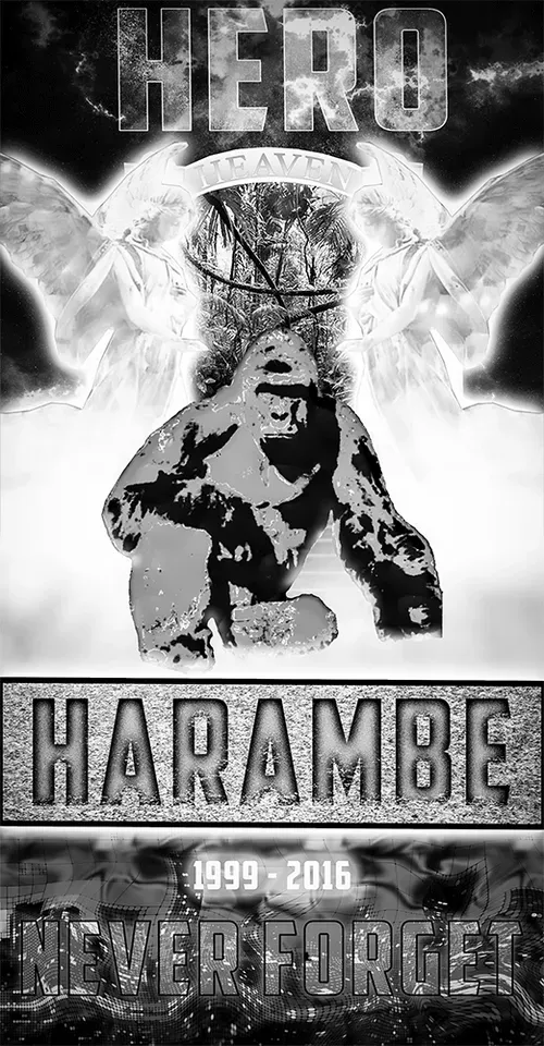 Item #48790520787155310426102062731270564561928034817995506544027698520562069405996 Media